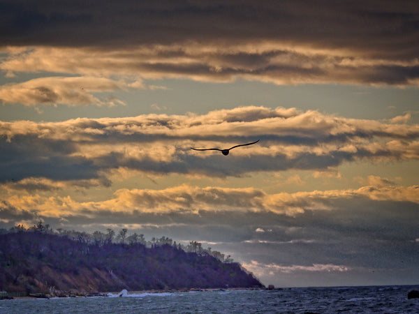 Southold Town Beach