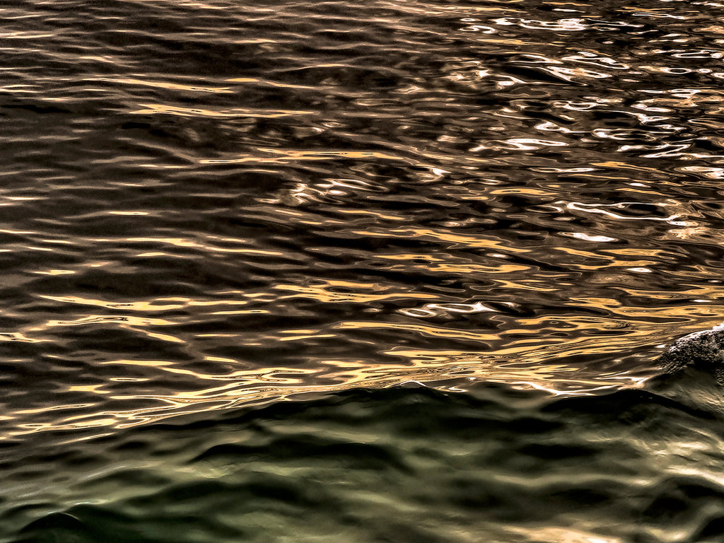 Ferry Wake