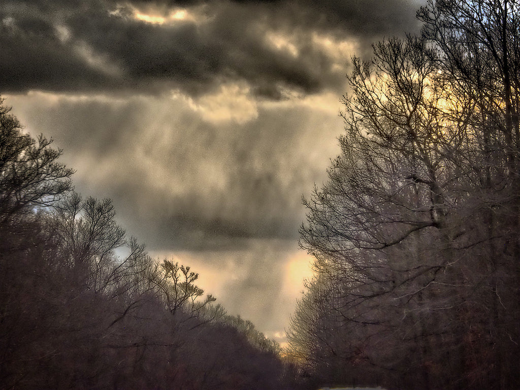 Winter Light on the Palisades