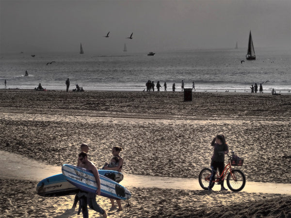 Venice Beach Scene