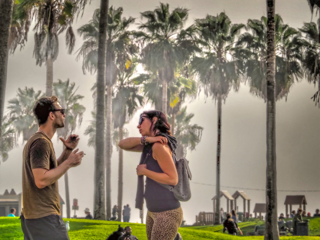 Conversation In Venice